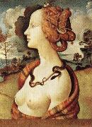 Piero di Cosimo Portrait of Simonetta Vespucci France oil painting artist